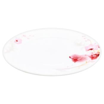 Glass Ceramic Plate - buy, prices for - photo 4