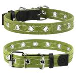 Collar Canvas Dimensionless Dog Collar 52cm/25mm Green