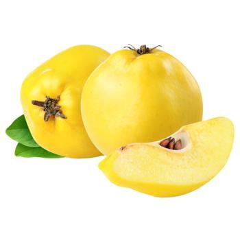 Quince - buy, prices for Tavria V - photo 1