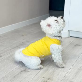 Pet Fun Tank Top for Dogs s.S Yellow - buy, prices for MasterZoo - photo 3