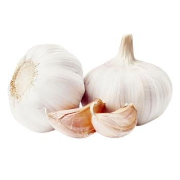 Garlic
