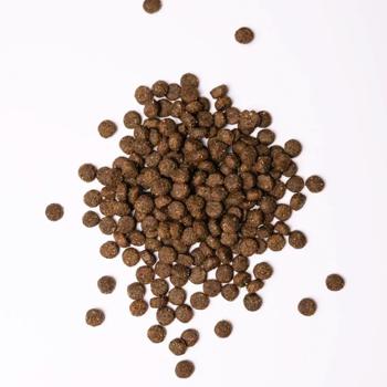 Food Savory 1100g Czech republic - buy, prices for MasterZoo - photo 5