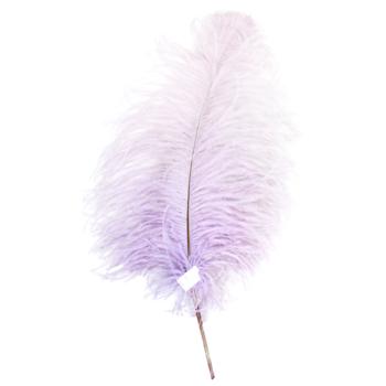 Ostrich Feathers 40-45cm 1pc in Assortment - buy, prices for ULTRAMARKET - photo 2