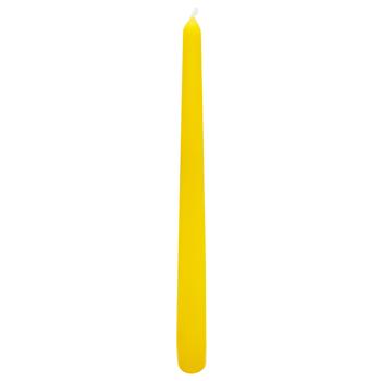 Bolsius Conical Candle 245x24mm