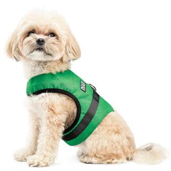 Leash Pet fashion - buy, prices for MasterZoo - photo 4