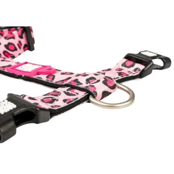 Leash Max and molly Germany - buy, prices for MasterZoo - photo 5