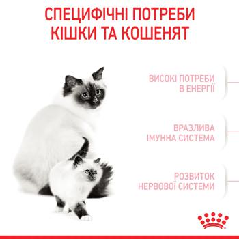 Корм сухой Royal Canin Mother & Babycat с домашней птицей для котят, беременных и кормящих кошек 10кг - купить, цены на MasterZoo - фото 3