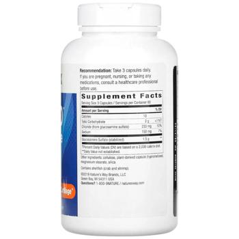 Nature's Way GS-500 Glucosamine Sulfate 500mg 240 capsules - buy, prices for - photo 2