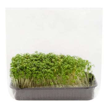 Watercress Microgreen 200g