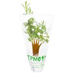 Fermove Rosemary in Pot 200g