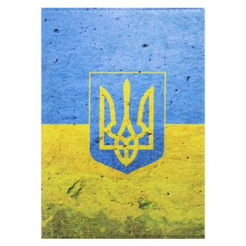 Just Cover! Ukraine Passport Cover - buy, prices for NOVUS - photo 1