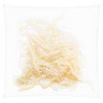 Salted and Dried Squid Shavings