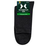 Sock Zhutomyrska para grey 42-43size