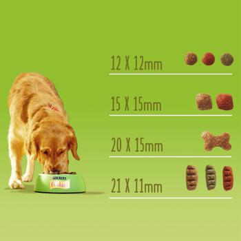 Корм сухий Friskies Active з яловичиною для активних собак 2,4кг - купити, ціни на MasterZoo - фото 4