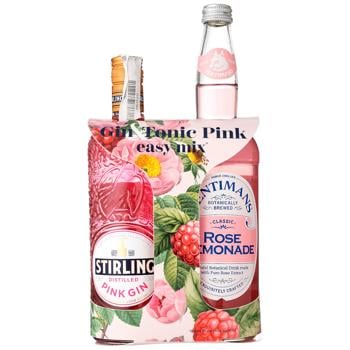 Gin Stirling 37.5% 700ml Netherlands - buy, prices for Za Raz - photo 1