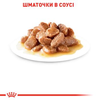 Корм влажный Royal Canin Care Hairball с домашней птицей для выведения шерсти у кошек 9+3шт х 85г - купить, цены на - фото 2