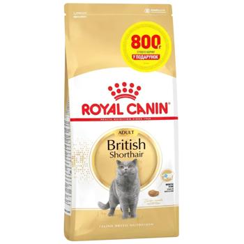 Корм сухий Royal Canin Adult для котів породи британська короткошерста 3,2кг+800г - купити, ціни на MasterZoo - фото 1