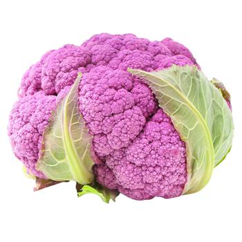 Graffiti Cabbage - buy, prices for - photo 1