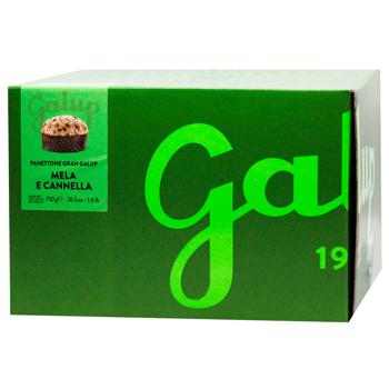 Galup Panettone with Apple and Cinnamon 750g - buy, prices for WINETIME - photo 1