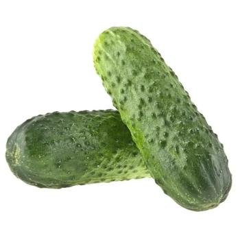 Vegetables cucumber fresh - buy, prices for Ideal - photo 1