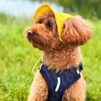 Панама для собак Hat-Dog р.L жовтий - купити, ціни на MasterZoo - фото 6
