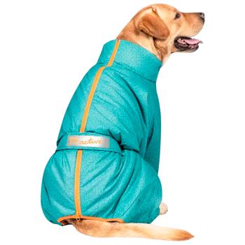 Pet Fashion Cold Raincoat for Dogs s.4XL Turquoise - buy, prices for - photo 3