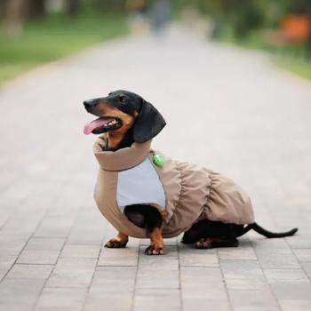 Жилет для собак Pet Fashion Chip S-3 - купити, ціни на MasterZoo - фото 4