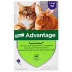 Bayer Advantage 80 Drops from Flea Infestations for Cats and Rabbits Over 4kg