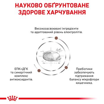 Royal Canin Gastrointestinal Food Set for Cats with Gastrointestinal Diseases Dry 2kg + Wet 4pcs*85g - buy, prices for MasterZoo - photo 6