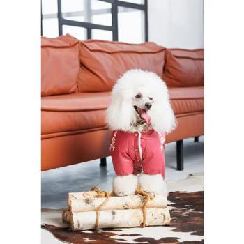 Комбінезон для собак Pet Fashion Cherry M - купити, ціни на MasterZoo - фото 5