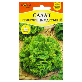 Bahatiy Vrozhay Leaf Lettuce Kucheryavets Odessa Seed 1g - buy, prices for COSMOS - photo 1