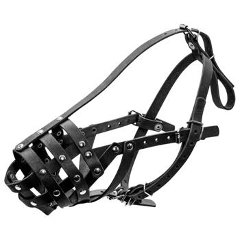 Намордник Collar шкіряний твердий 28см/9см чорний