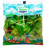 Салат мікс Зелена Грядка 100г Бебі мікс м/у