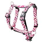 Leash