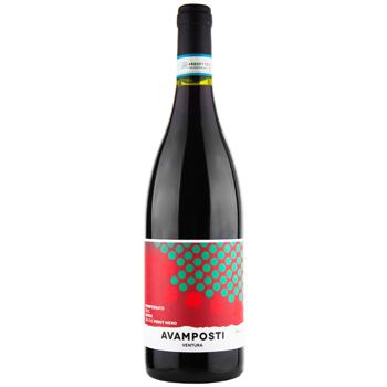 Вино Avamposti Ventura Pinot Nero красное сухое 14,5% 0,75л