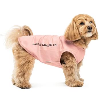 Pet Fashion Kale борцівка для собак S - купить, цены на MasterZoo - фото 2