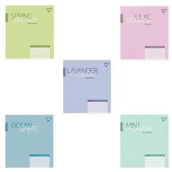 Зошит Yes Colouring клітинка А5 24 аркуші