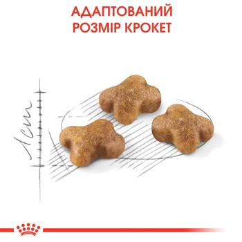 Корм сухой Royal Canin Kitten с домашней птицей для котят 2кг+400г - купить, цены на MasterZoo - фото 5