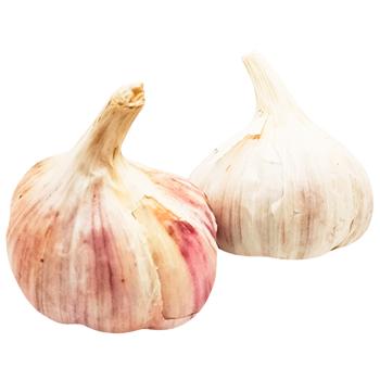 Garlic - buy, prices for Vostorg - photo 1