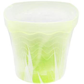 Etalon-C Yellow Set for Orchid Transplant - buy, prices for - photo 3