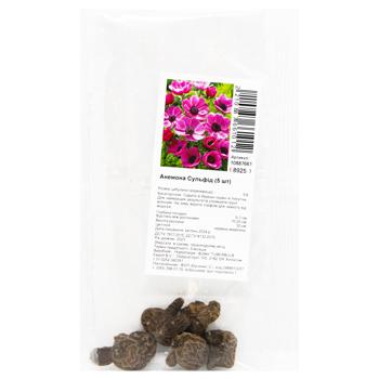 Anemone Sylphide Bulbotuber 5pcs - buy, prices for - photo 5