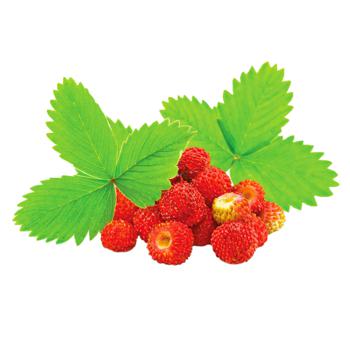 Земляника - купить, цены на КОСМОС - фото 1