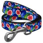 Waudog Fig Nylon Dog Leash S 200cm