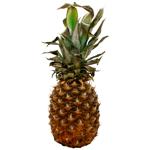 Pineapple #6, pc