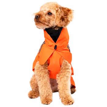 Raincoat Noble pet - buy, prices for MasterZoo - photo 1