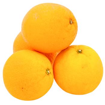 Orange - buy, prices for Vostorg - photo 1