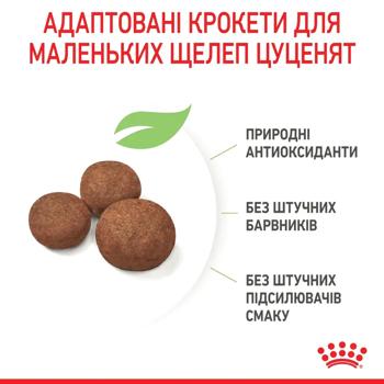Корм сухий Royal Canin Medium Puppy для цуценят середніх порід 12кг - купити, ціни на MasterZoo - фото 4