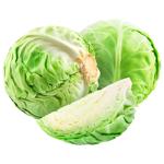 Young Cabbage