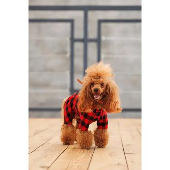 Костюм для собак Pet Fashion Xmas S - купити, ціни на MasterZoo - фото 8