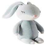 Toy